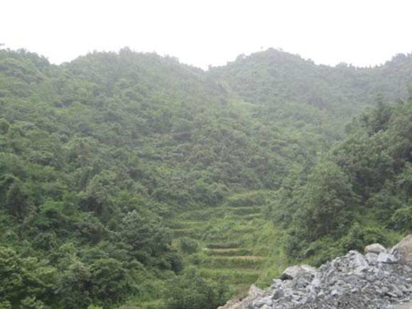 122cc太阳集成游戏(中国)有限公司官网